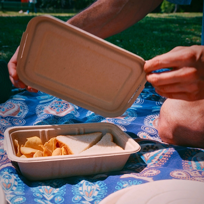 Bandeja rectangular