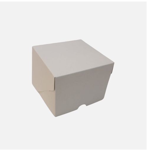 [PT88888-0155-01-01] Box con apertura frontal Mini Nro 1