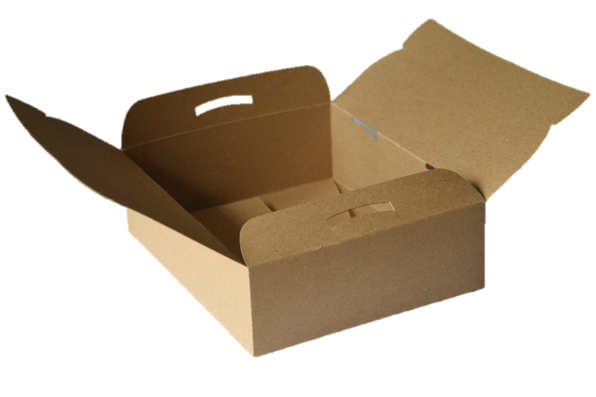 Caja Delivery 2 combos
