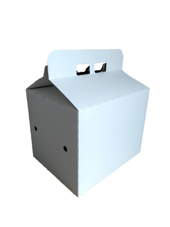 Caja Delivery - Family Box - DISCONTINUADO